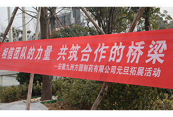 “相信團(tuán)隊(duì)的力量，共筑合作的橋梁