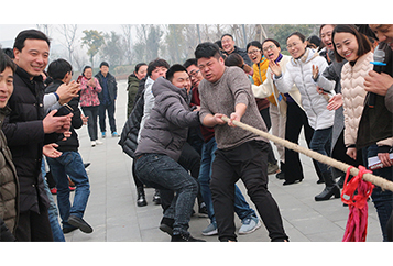 “相信團(tuán)隊(duì)的力量，共筑合作的橋梁